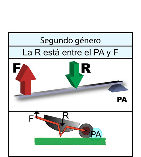 Palanca de segundo género